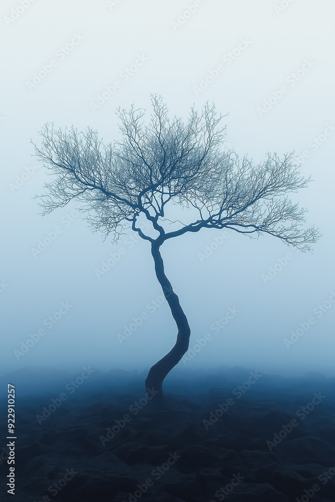 Poster silhouette of a dead tree in a misty forest, fog rolling through the barren branches, soft and eerie