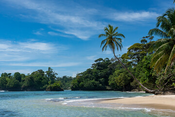 Tropical Beach Paradise with Palm Trees, Turquoise Clear Water, and Blue Sky - Perfect Island Vacation Destination for Relaxation, Sunshine, and Exotic Coastal Scenery in an Unspoiled Caribbean Resort