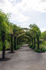 An enchanting garden pathway adorned with a beautiful floral archway, creating a serene and picturesque scene in a London park