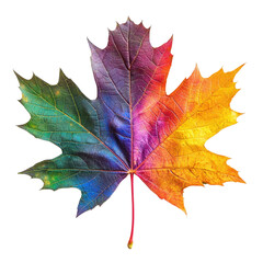 Obraz premium A vibrant and colorful leaf showcasing a spectrum of hues, perfect for nature and artistic themes in digital or print.