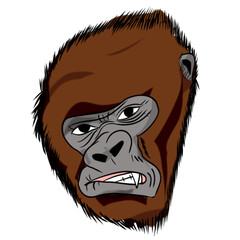 The Kong or gorilla animal concept png image.