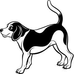 Beagle puppy dog isolated on white, beagle dog vector illustration, animal vector art, dog silhouette,  pet vector icon, burger cartoon line art, eps