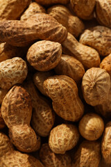 Close-up view of peanuts in the shell