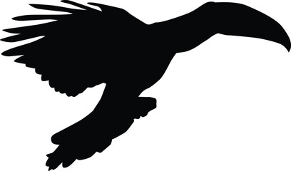 Hand drawn toucan bird silhouette illustration