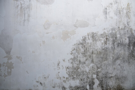 The background texture of an old, deteriorated wall with a surface showing signs of wear and tear, including peeling paint and patches of mold or mildew, suggests exposure to dampness or humidity