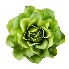 Obraz premium Isolated Clean Green Flower Transparent PNG Files Graphic Resource