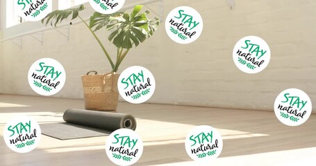 Stay natural text animation over yoga mat and plant in bright room - Powered by Adobe