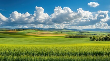 Obraz premium Rolling Green Hills Under a Blue Sky