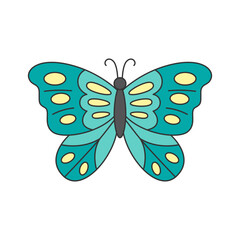 butterfly illustration