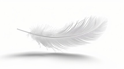Single white feather with shadow isolated on white background.