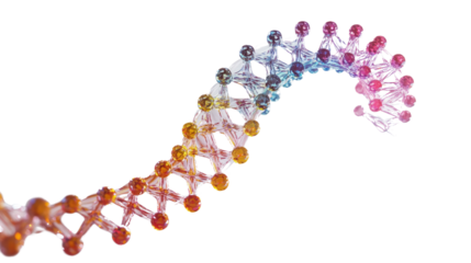 DNA transparent background