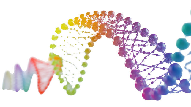 DNA transparent background