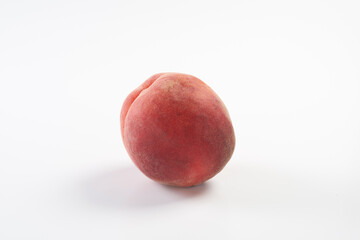 ワッサーの実　イメージ