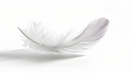 Single white feather isolated on a white background.