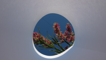 background with tree