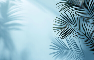 Palm Leaves and Shadows on Light Blue Background
