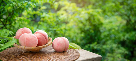 Fresh white peach in Bamboo basket on wooden table in garden, Sweet White Peach fruits in blur background.