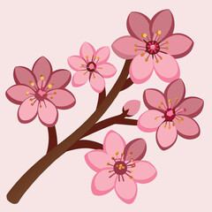 Kawaii pink cherry blossom