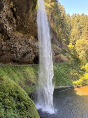 waterfall in the forest
