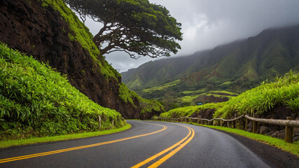 Fototapeta premium Beautiful Road to Hana in Maui, Hawaii 