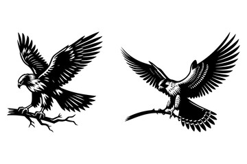 Obraz premium falcon set silhouette vector illustration isolated on transparent background- Generative AI