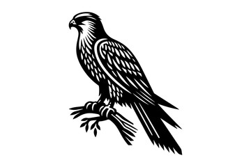 Fototapeta premium falcon silhouette vector illustration isolated on transparent background- Generative AI
