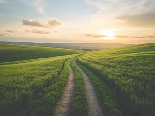 green field and sky