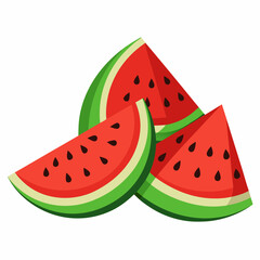 Watermelon Slices art vector illustration