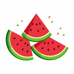 Watermelon Slices art vector illustration
