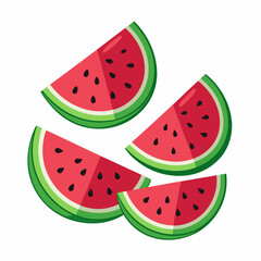 Watermelon Slices art vector illustration