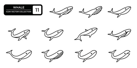 Whale icon collection, editable and resizable vector icon templates.