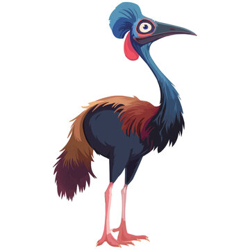 recommend clip art: A cute cartoon cassowary standing vector