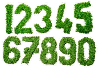 The numbers are written in a grassy font, giving the impression of a natural