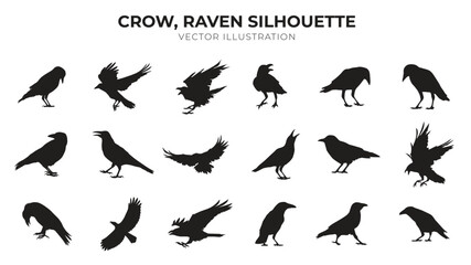 crow, raven silhouette