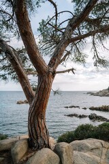 Scenic view of the rocky shore of Costa Brava, Spain