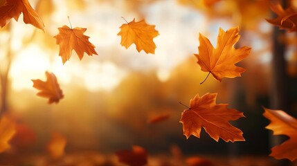 Warm, golden light filtering through autumn trees, with leaves being softly blown by the wind, creating a peaceful, idyllic scene, autumn wind warmth