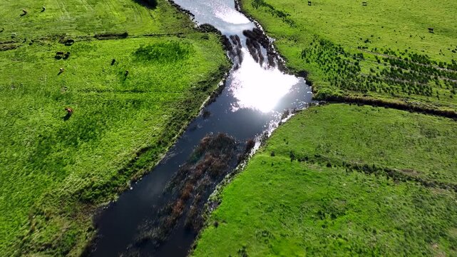 Finn River, County Monaghan, Ireland, September 2022. Drone follows water upstream with sunlight sparkling on ripples with grassy banks.