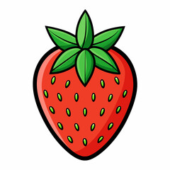 strawberry vector illustration