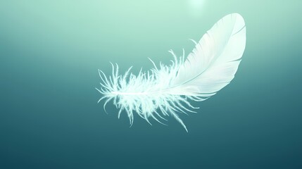 Obraz premium A single white feather floats on a teal background.