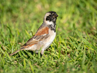 adobe stock ausgewertet