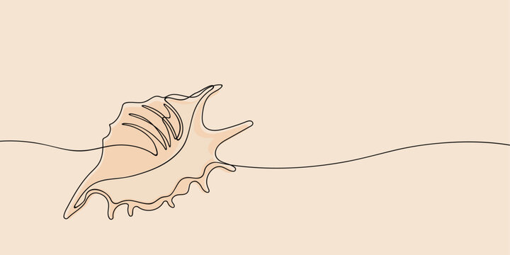 Sea shell in continuous line art drawing style. Hand drawn vector illustration. Minimalist black linear sketch isolated on light background.
