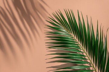 Obraz premium Beige background with shadow and palm leaves