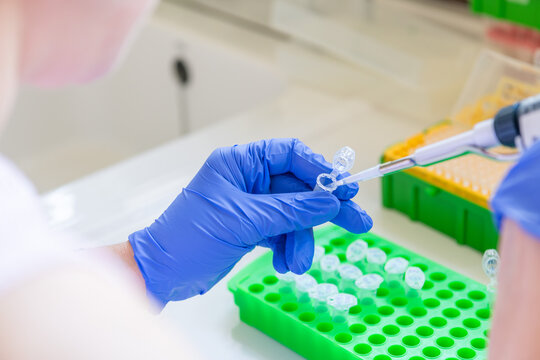 Hand,blue glove holding a micropipette and a eppendorf tube in a laboratory with other equipment. Taking out liquid with pipet from an eppendorf tube. Cardridge for ddPCR on the bench. Dna analysis.