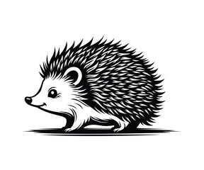 Hedgehog Vector