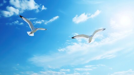 Two Seagulls Flying in a Blue Sky