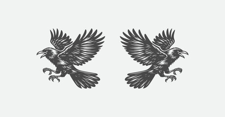 Obraz premium Angry crow flying attack hand drawn 