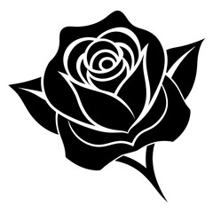 rose eps vector bundle