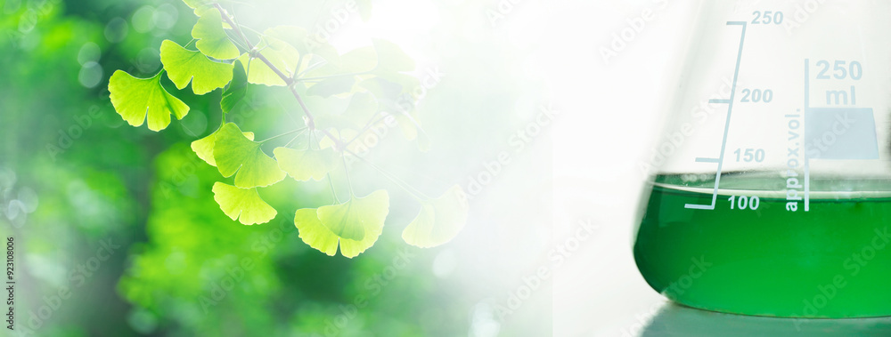 Wall mural glass flask with green solution and ginkgo leave for biochemistry lab background