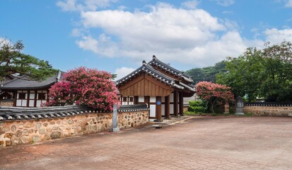 Red crape myrtle blooming in a traditional Korean Hanok garden