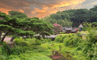 Red crape myrtle blooming in a traditional Korean Hanok garden